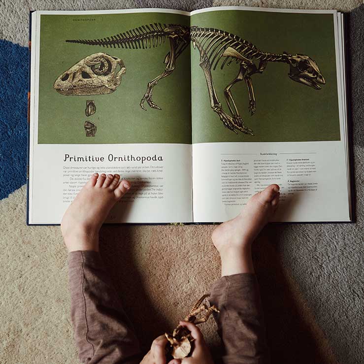 Dinosaurium - Velkommen til Museet | Naturbog | Børn bladrer