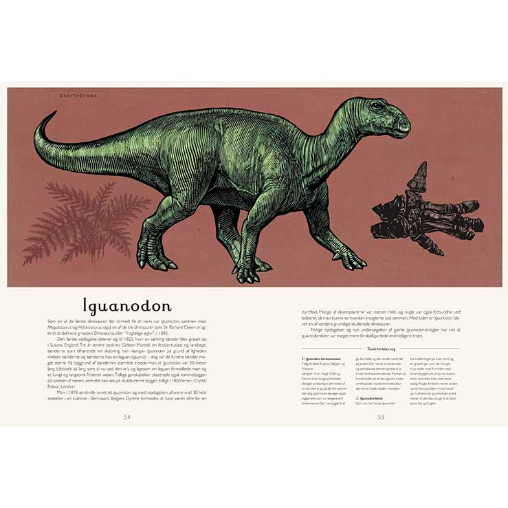 Dinosaurium - Velkommen til Museet | Naturbog | Side fra bog