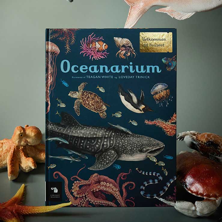 Oceanarium - Velkommen til Museet | Naturbog til børn | Forside af bog på børneværelse