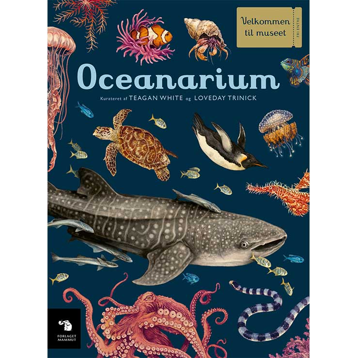 Oceanarium - Velkommen til Museet | Naturbog til børn | Forside