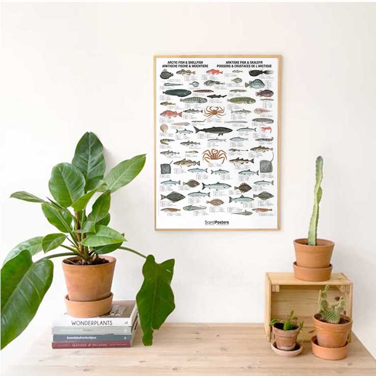 Plakat med fisk i ramme på væg