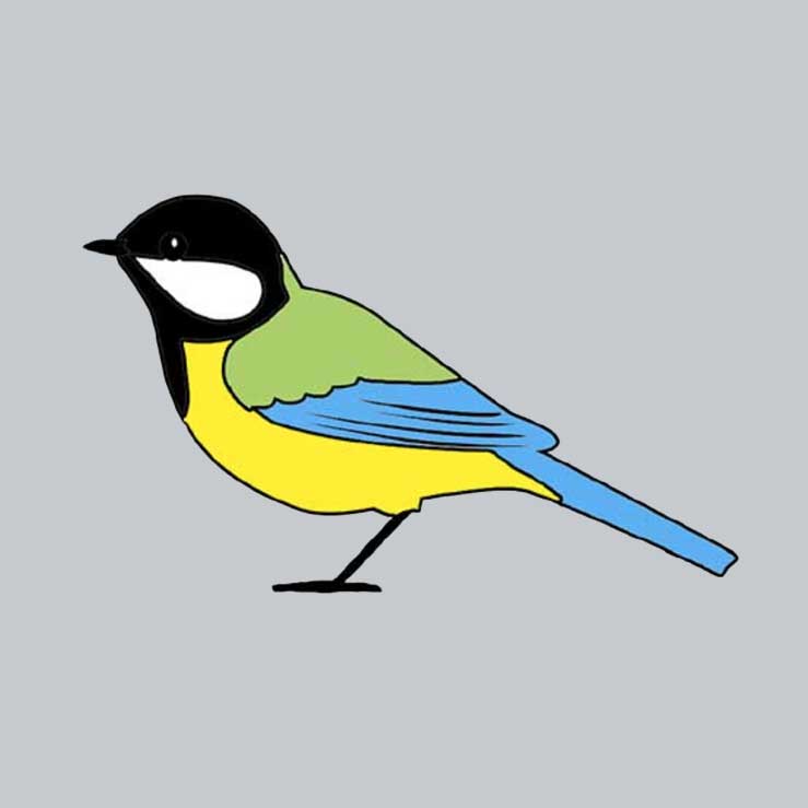 Tegne-ark med fugle | Print og farvelæg tegninger med fugle