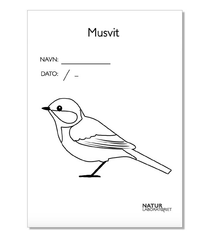 Farvelægning tegning med fugle | Print og farvelæg med fugle