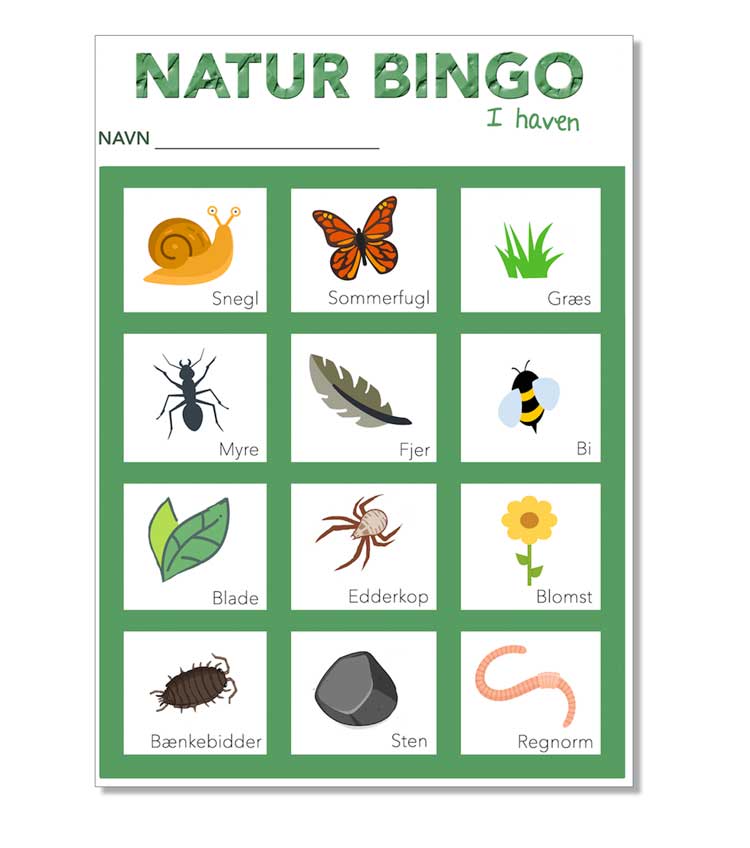 Naturbingo - find dyr i haven