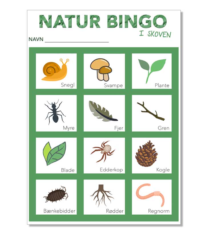 Naturbingo - find dyr i skoven