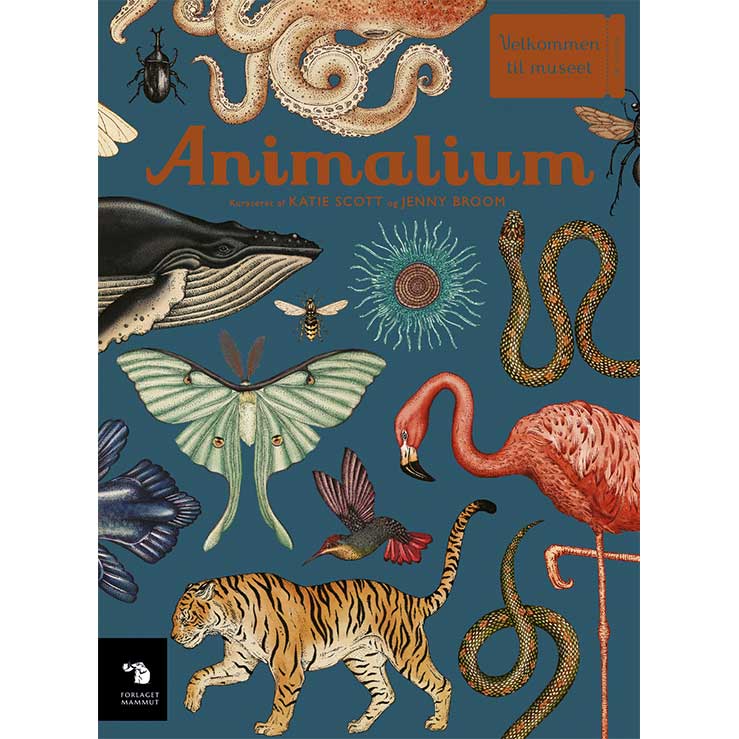 Animalium - Velkommen til museet | Naturbog | Forside