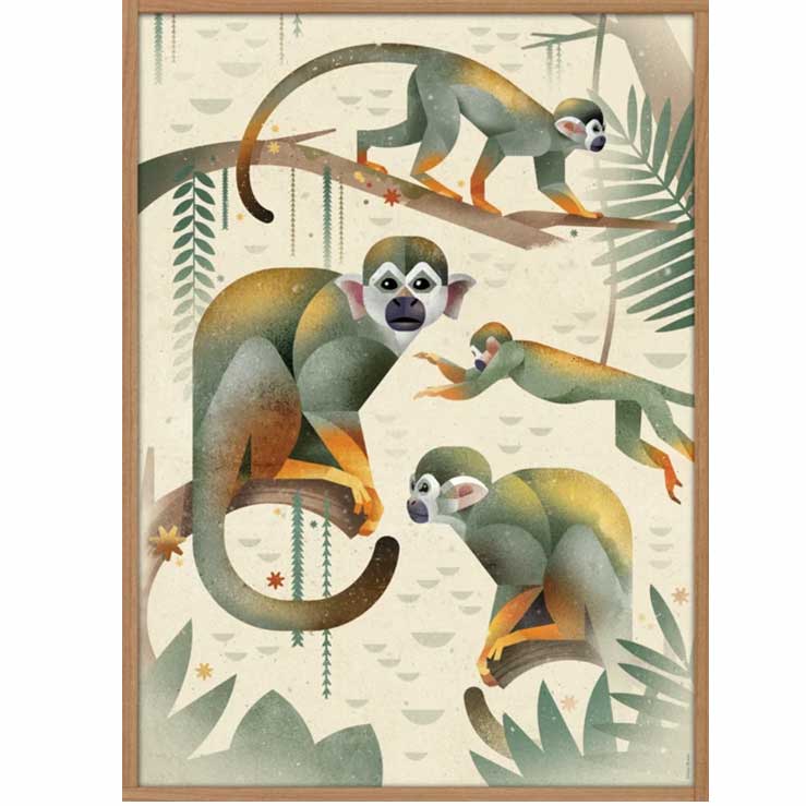 Plakat med aber