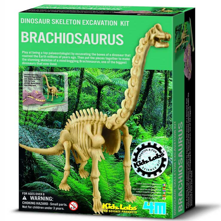 Brachiosaurus-M4.jpg