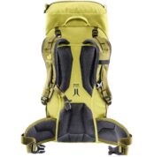 Climber 22 børne vandrerygsæk Sprout/Linden set bagfra