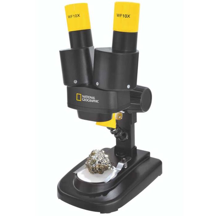 Stereomikroskop til børn klar til at undersøge insekter og sten