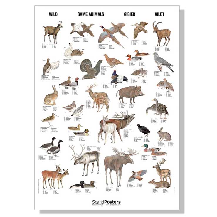 Naturplakat-scand-posters-dyr.jpg