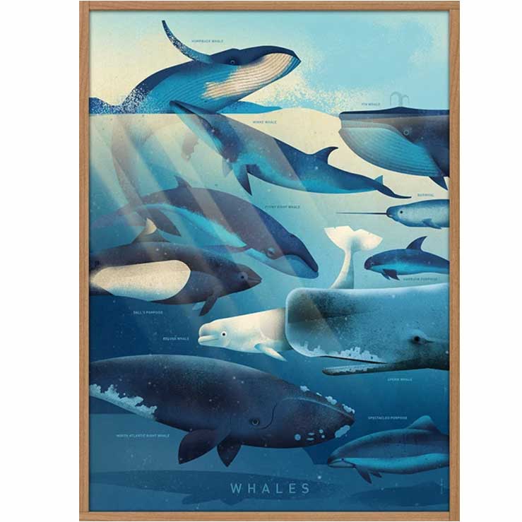 Plakat-hvaler.jpg
