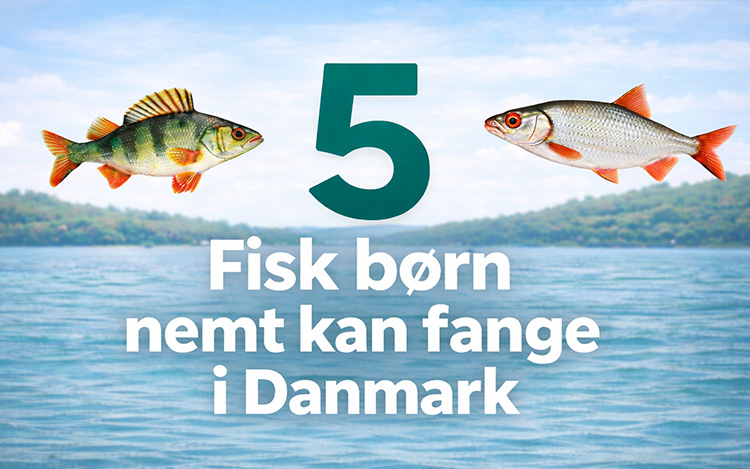 5 Fisk børn kan fange i Danmark
