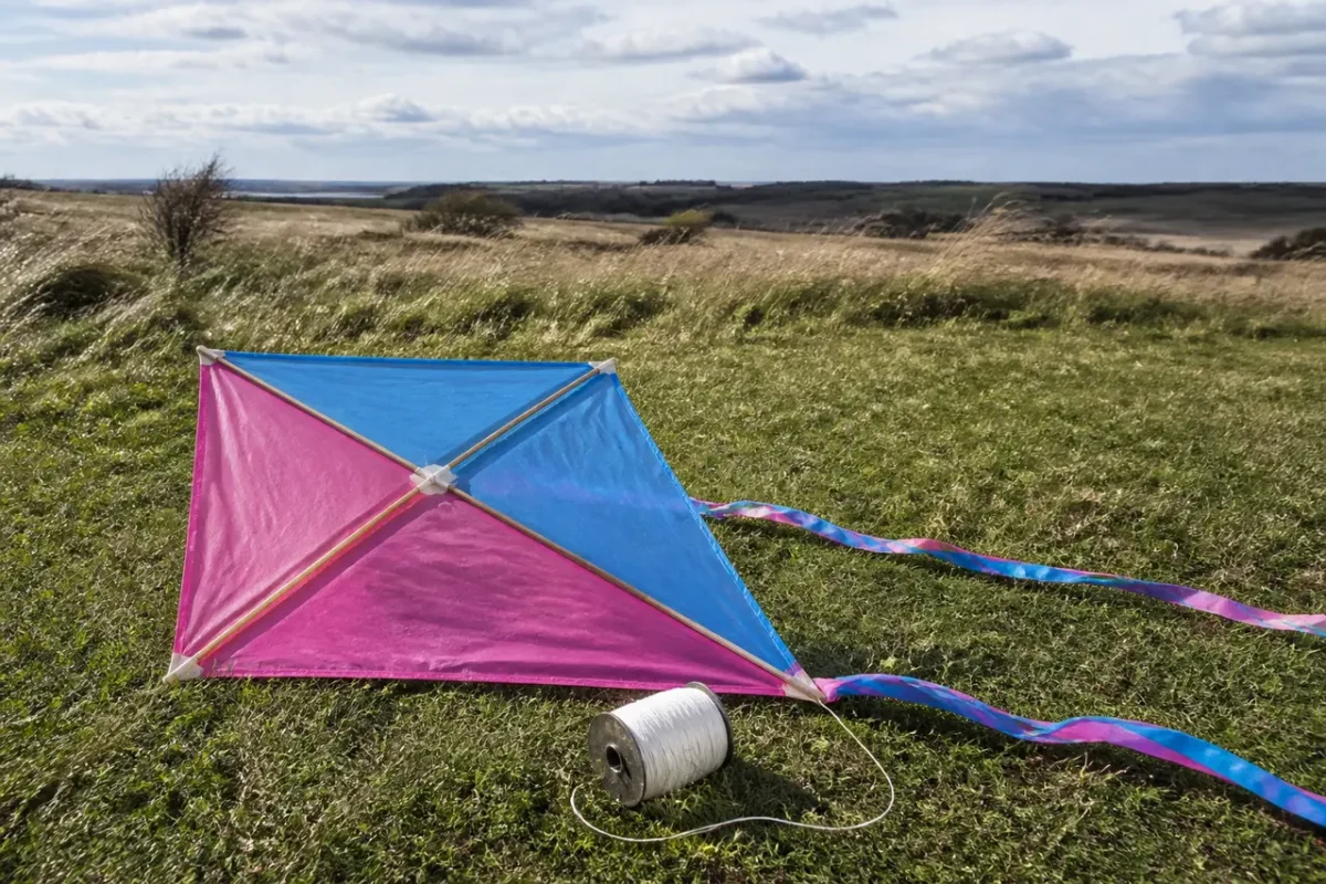 Hjemmelavet diamantdrage på græs med snor