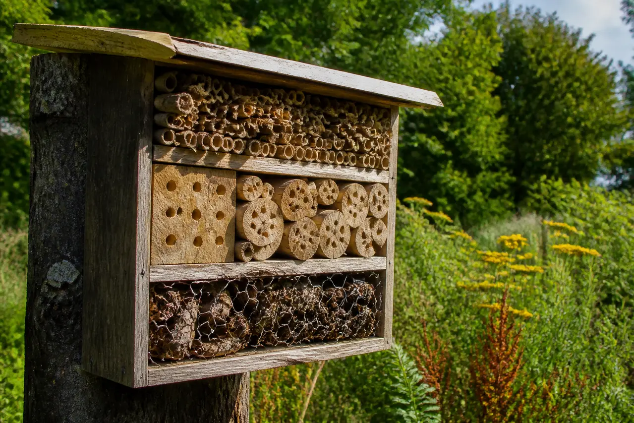 Hjemmelavet insekthotel med bambus og træ