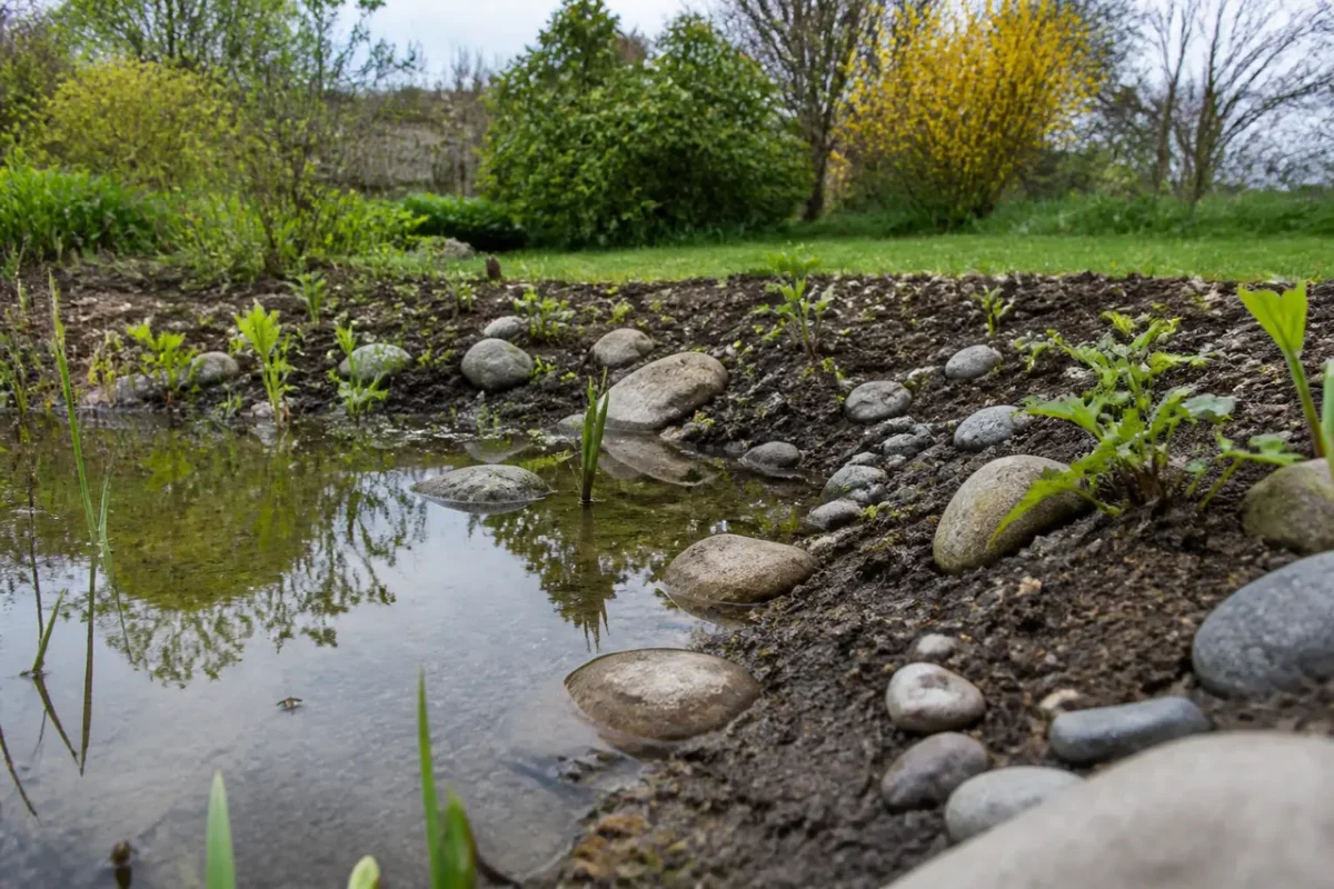 Lille vandhul med sten og planter i haven